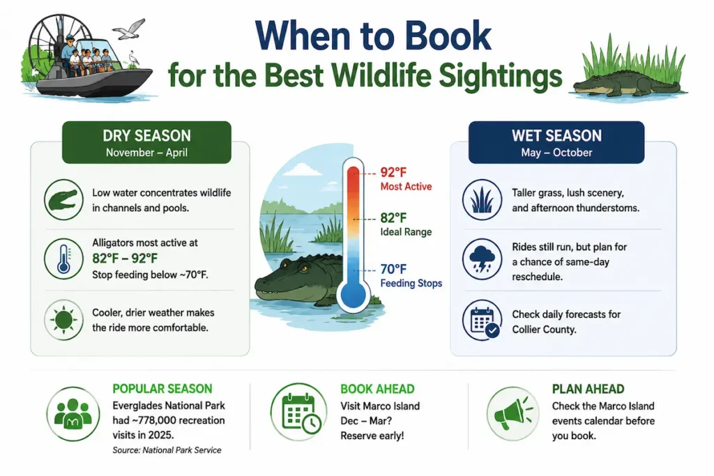 When to Book for the Best Wildlife Sightings